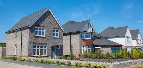 Conservation Area Houses