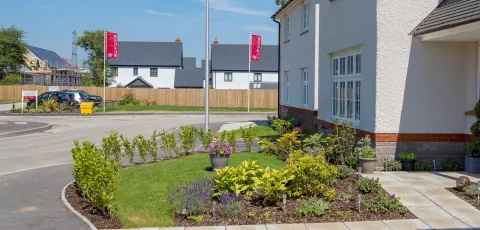 Conservation Area Houses