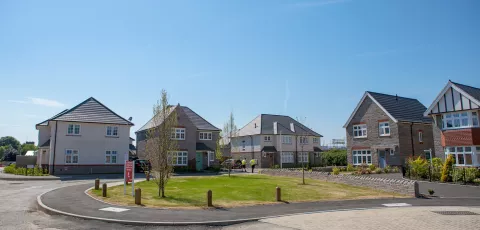 Conservation Area Houses